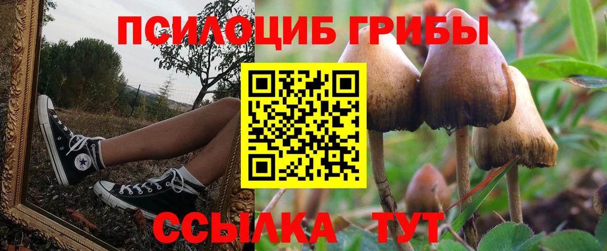 Псилоцибиновые грибы GOLDEN TEACHER  Вход с VPN  Сосновоборск 