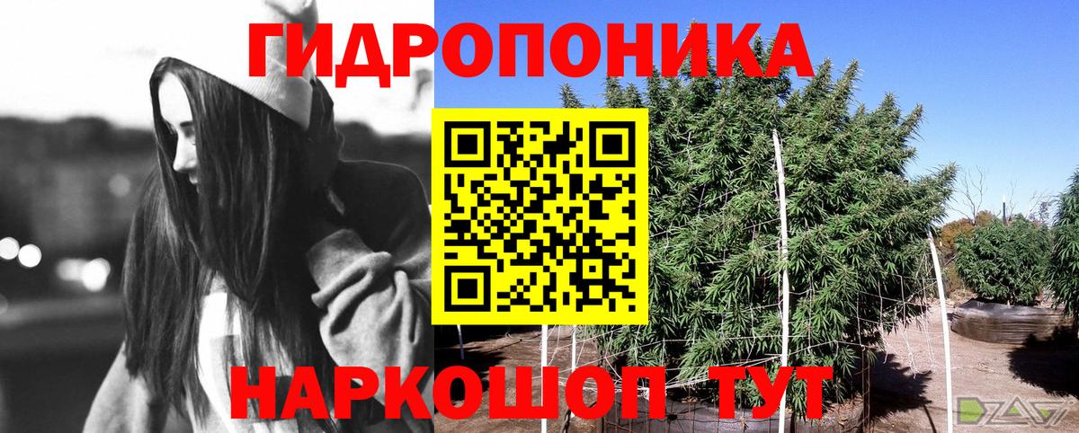 Бошки Шишки OG Kush Сосновоборск